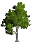 TREE - Bezmaksas animēts GIF animēts GIF