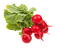 vegetables bp - фрее пнг анимирани ГИФ