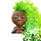 déco fleurs zen - 免费PNG 动画 GIF