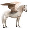 unicornio - png grátis Gif Animado