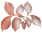 Листья ; декор - безплатен png анимиран GIF