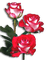 flores - png gratis GIF animasi