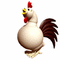 poule - Bezmaksas animēts GIF animēts GIF