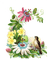 акварель цветы, vintage,  Pelageya