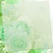 Kaz_Creations Backgrounds Background Flowers - zdarma png animovaný GIF