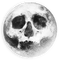 skull moon - GIF animado grátis
