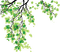 Green Branch - ilmainen png animoitu GIF