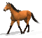 cheval au pas - Бесплатный анимированный гифка анимированный гифка