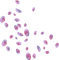 petalos - ingyenes png animált GIF