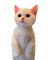 Nina cat - gratis png geanimeerde GIF