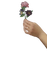 flower hand - kostenlos png Animiertes GIF