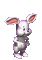 ani-hare-bunny - Бесплатный анимированный гифка анимированный гифка