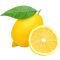 lemon citron 🍋