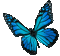 Animated.Butterfly.Blue - By KittyKatLuv65