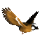 Kaz_Creations Birds Bird - GIF animate gratis GIF animata