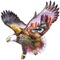 aigle ( - png gratis GIF animasi
