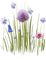 fleur violette.Cheyenne63 - zdarma png animovaný GIF