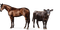 horse cow - kostenlos png Animiertes GIF