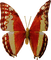 dolceluna deco butterfly - png gratis GIF animasi