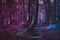 Forrest Background - Free PNG Animated GIF