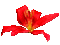 Fleur orange.Cheyenne63 - 無料のアニメーション GIF アニメーションGIF