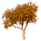 autumn deco tree brown kikkapink