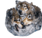 az loup wolf animaux animal - Free PNG Animated GIF