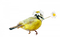 tube oiseau - Free PNG Animated GIF