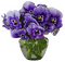 Kaz_Creations Flowers Deco Flower Colours Vase - png gratis GIF animado