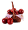 manzana - gratis png animerad GIF