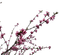 Tube Branche Fleurie - png gratuito GIF animata