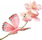 Papillon rose sur branche de fleurs roses