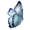 BLUE BUTTERFLY - Free animated GIF Animated GIF