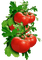 nbl-tomato - 無料png アニメーションGIF