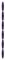 purple-line-decoration