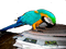Parrot Macaw Reading Newspaper - бесплатно png анимированный гифка