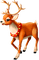 Reindeer.Brown.White.Red.Gold - PNG gratuit GIF animé