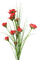 Flores rojas - nemokama png animuotas GIF