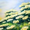 Pastel Yellow Flowers - PNG gratuit GIF animé
