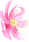 Aquarelle.Watercolor.Fleur.Pink.Victoriabea - PNG gratuit GIF animé