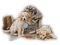 Kaz_Creations Animals Animal Dogs Dog Pup - zadarmo png animovaný GIF