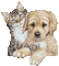 Cats & Dogs - Jitter.Bug.Girl - Darmowy animowany GIF animowany gif
