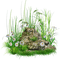 plants katrin - бесплатно png анимированный гифка
