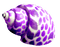 Seashell.Purple.White - Free PNG Animated GIF