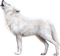 Loup blanc - PNG gratuit GIF animé
