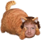Garfield Ed Sheeran - gratis png geanimeerde GIF