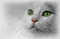 kitten - kostenlos png Animiertes GIF