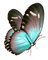 butterfly blue autumn deco scrap kikkapink - PNG gratuit GIF animé
