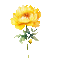 ♡§m3§♡ kawaii flower yellow animated - Free animated GIF Animated GIF