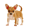 Kaz_Creations Animated Dog Pup - Darmowy animowany GIF animowany gif
